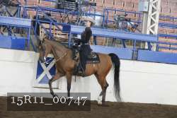 15R11_00747 thumbnail