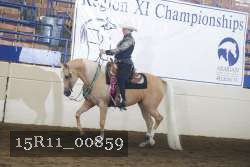 15R11_00859 thumbnail