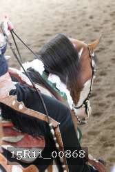 15R11_00868 thumbnail