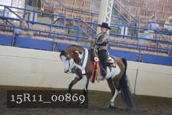 15R11_00869 thumbnail