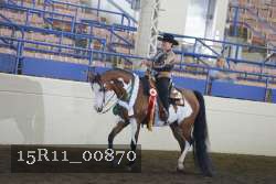 15R11_00870 thumbnail