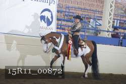 15R11_00872 thumbnail