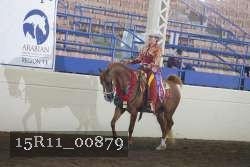 15R11_00879 thumbnail