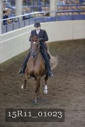 15R11_01023 thumbnail