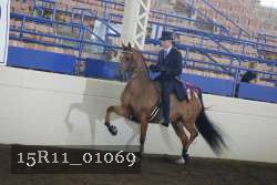 15R11_01069 thumbnail