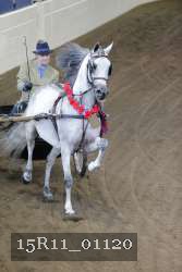 15R11_01120 thumbnail