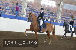 15R11_01169 thumbnail