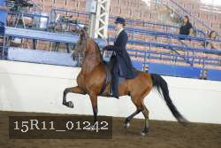 15R11_01242 thumbnail