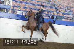 15R11_01305 thumbnail