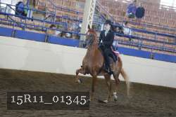 15R11_01345 thumbnail