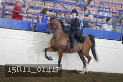 15R11_01417 thumbnail