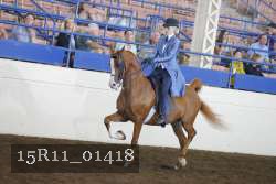 15R11_01418 thumbnail