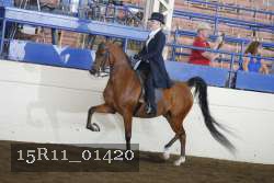 15R11_01420 thumbnail