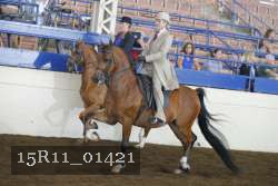 15R11_01421 thumbnail