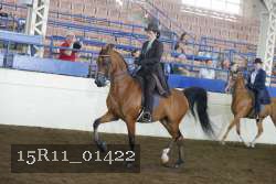 15R11_01422 thumbnail