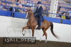 15R11_01423 thumbnail
