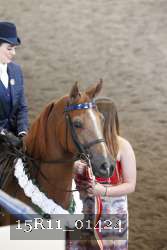 15R11_01424 thumbnail
