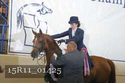 15R11_01425 thumbnail