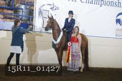 15R11_01427 thumbnail