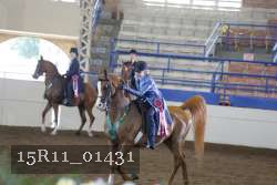 15R11_01431 thumbnail