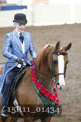 15R11_01434 thumbnail
