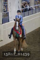 15R11_01439 thumbnail