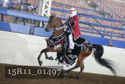 15R11_01497 thumbnail