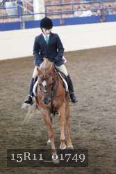 15R11_01749 thumbnail