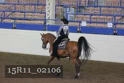 15R11_02106 thumbnail