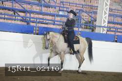 15R11_02110 thumbnail