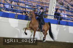 15R11_02457 thumbnail