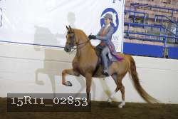 15R11_02853 thumbnail