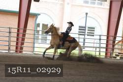 15R11_02929 thumbnail