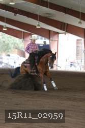 15R11_02959 thumbnail