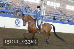 15R11_03384 thumbnail