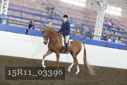15R11_03396 thumbnail