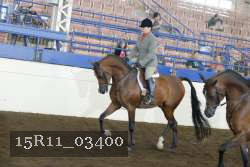 15R11_03400 thumbnail