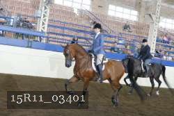 15R11_03401 thumbnail