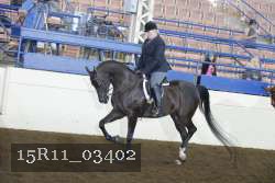 15R11_03402 thumbnail