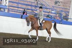 15R11_03403 thumbnail