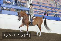 15R11_03404 thumbnail