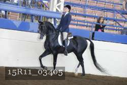 15R11_03405 thumbnail