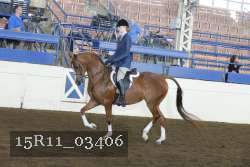 15R11_03406 thumbnail