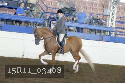 15R11_03408 thumbnail