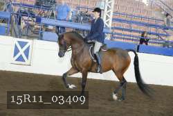 15R11_03409 thumbnail