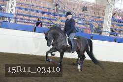 15R11_03410 thumbnail