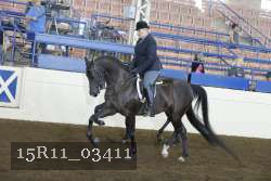 15R11_03411 thumbnail