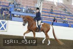 15R11_03412 thumbnail