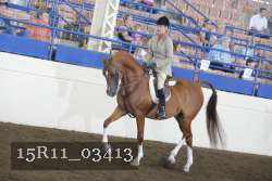 15R11_03413 thumbnail