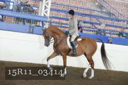 15R11_03414 thumbnail
